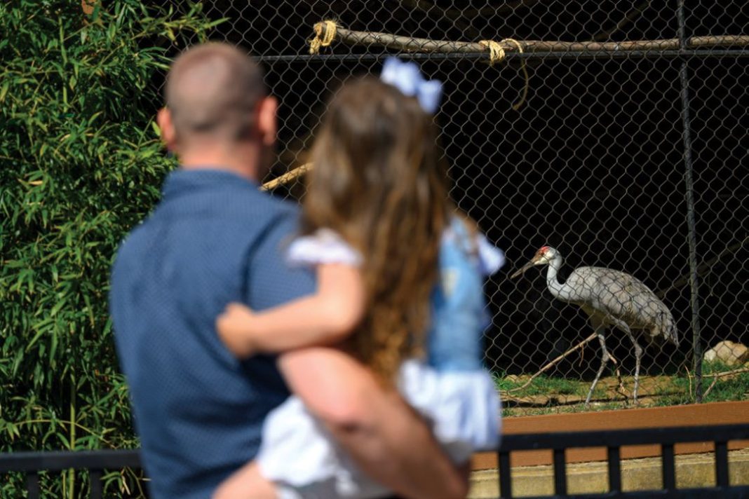 Brandywine Zoo