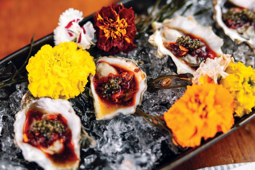 oysters
