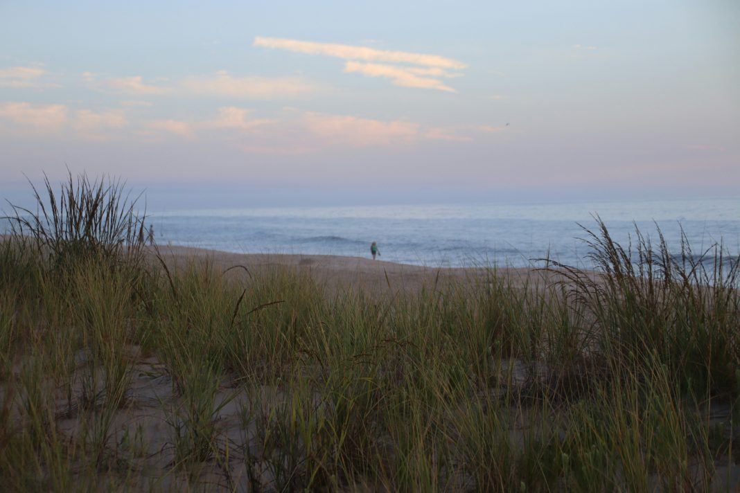 delaware environmental wins and protections