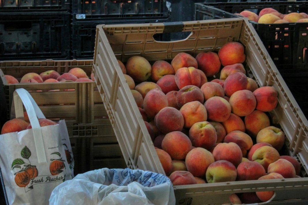 peach festival