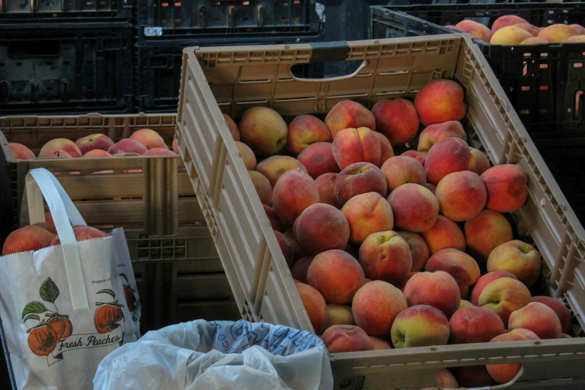 The Olde-Tyme Peach Festival Brings Peachy Fun to Middletown