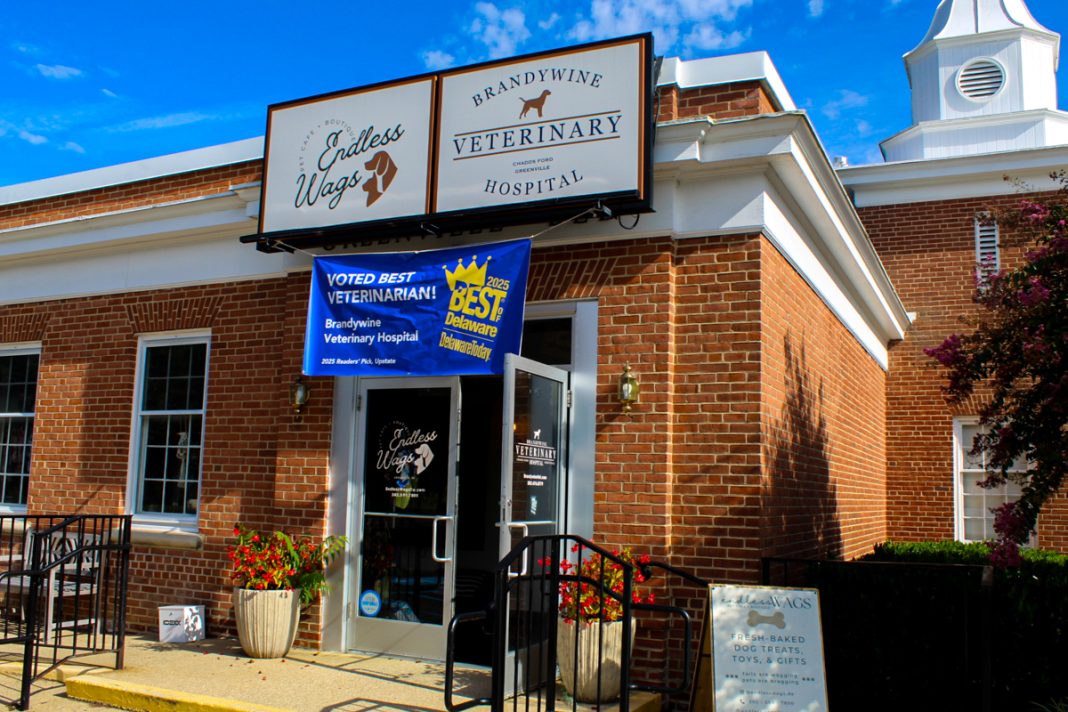 Endless Wags Is a Pet Owner's Paradise in Greenville