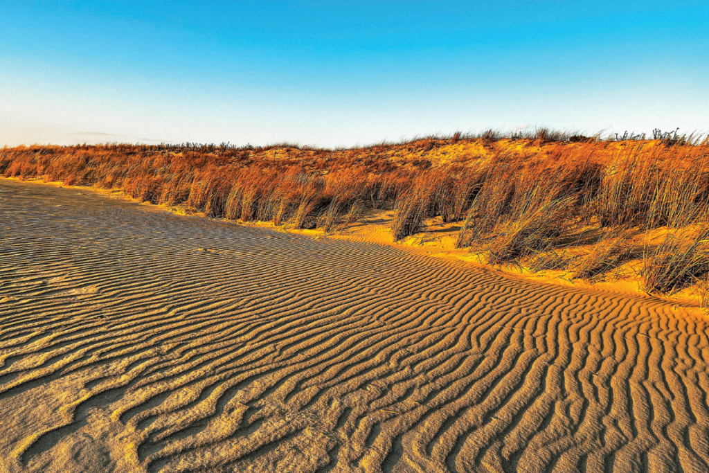 Delaware Environment Nature Offers a Cherished Sense of Calm and Serenity in Delaware