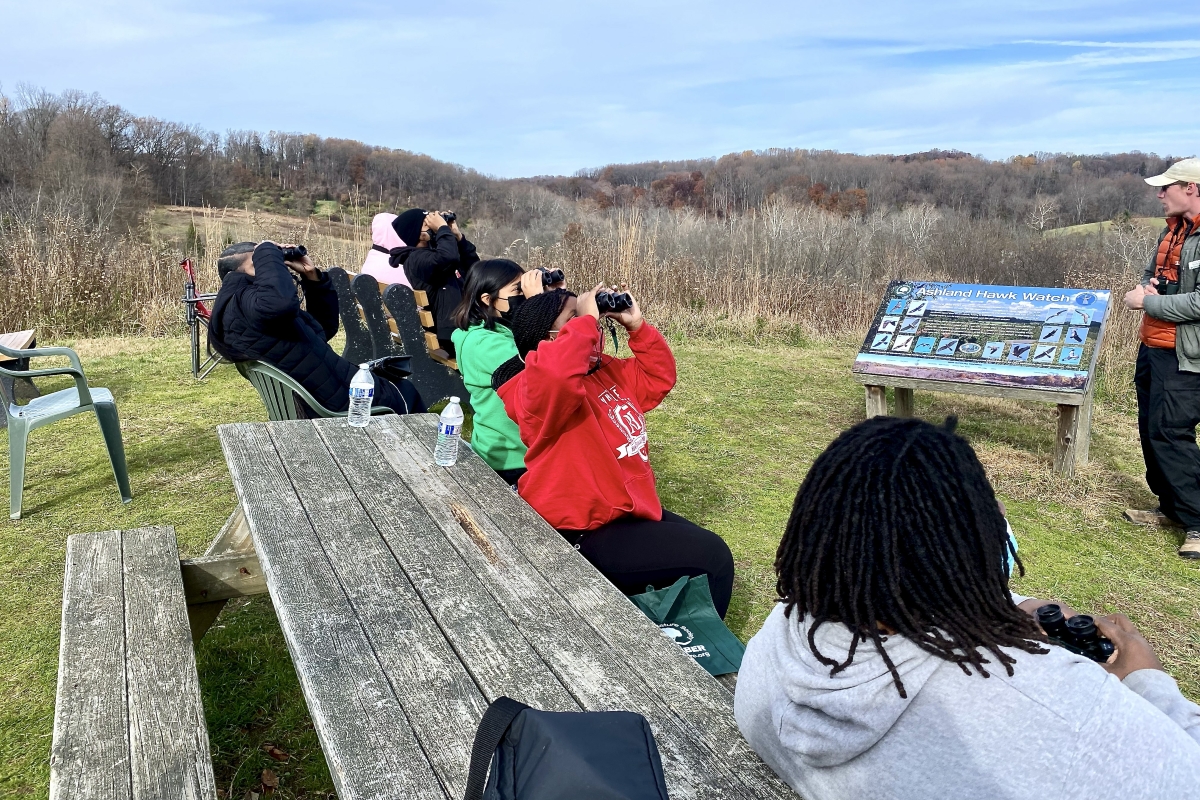 Hawkwatch Programs Around Delaware Preserve Local Wildlife
