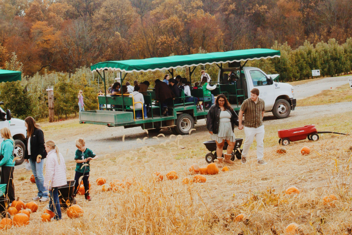 A Guide to Fall Festivals and Events Around Delaware