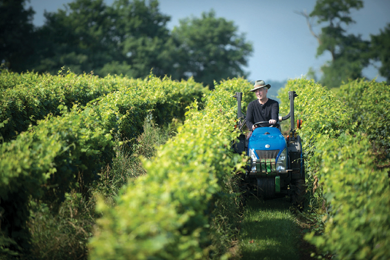 Your Guide to the Best Beer, Wine and Spirits in Delaware